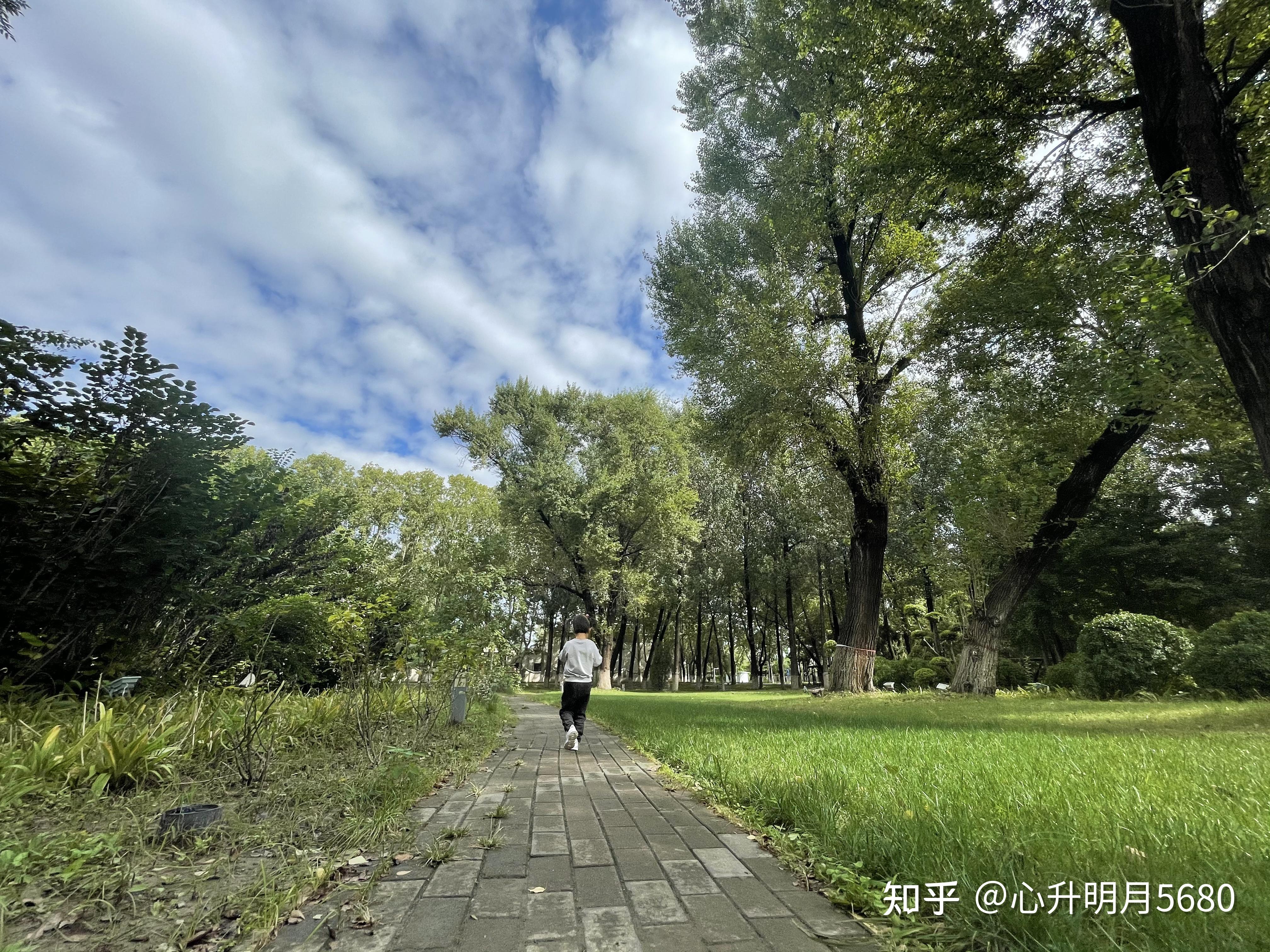 如何在旅行中保持开放的心态